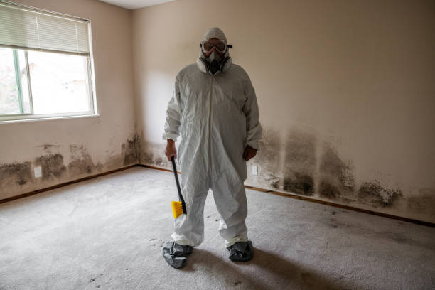 Best Toxic Mold Removal  in San Manuel, AZ